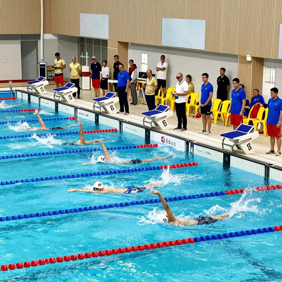 Bơi lội nữ và khoảng trống dữ liệu: Khi bảng phân tích không có gì để đọc