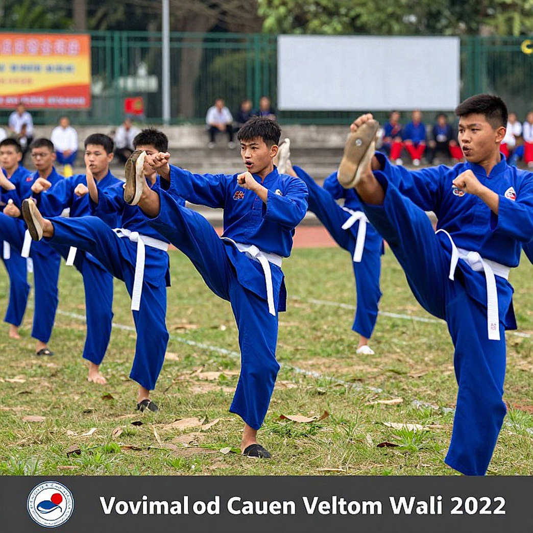 Từ võ đường đến lồng bát giác: nhịp chuyên nghiệp của võ thuật Việt Nam