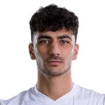 Amirmohammad Razzaghinia